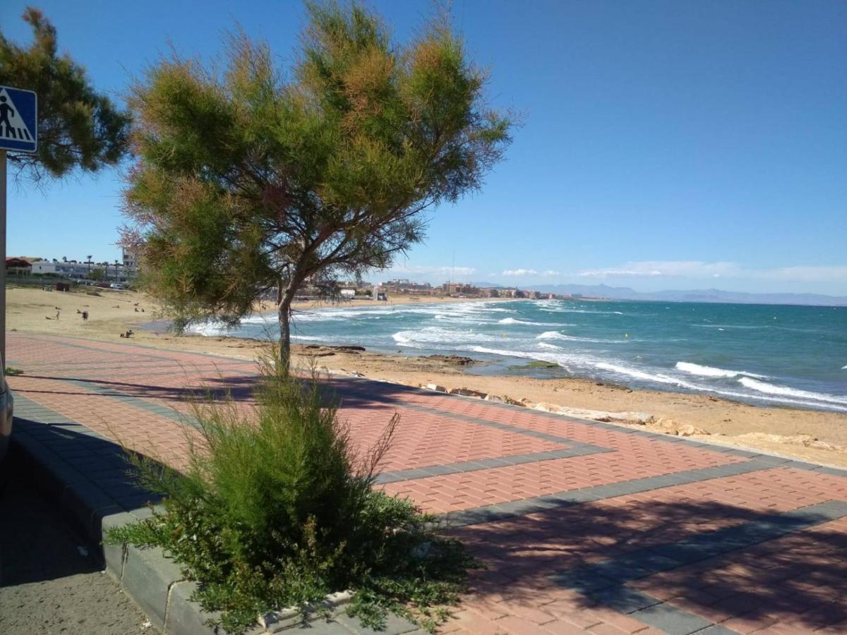 Apartamento Vista Daire Torrevieja Dış mekan fotoğraf