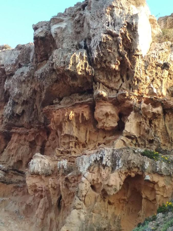 Apartamento Vista Daire Torrevieja Dış mekan fotoğraf